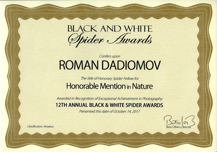 Дадиомов Роман - Certificates - Certificates